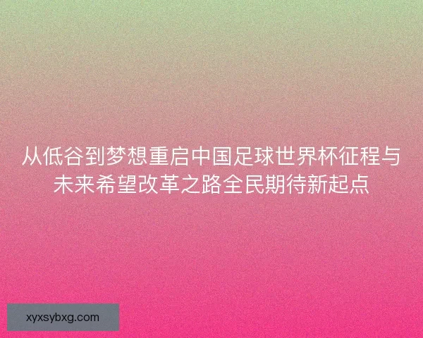 从低谷到梦想重启中国足球世界杯征程与未来希望改革之路全民期待新起点