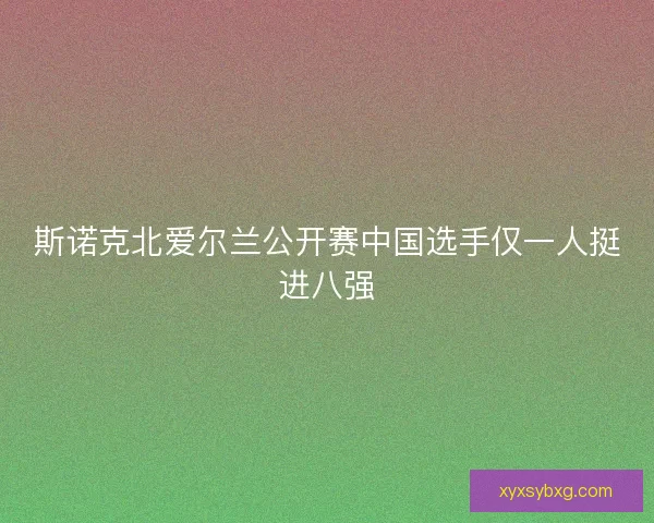 斯诺克北爱尔兰公开赛中国选手仅一人挺进八强