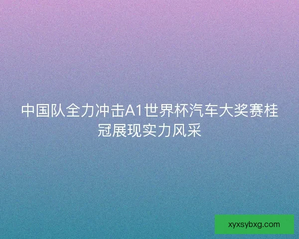 中国队全力冲击A1世界杯汽车大奖赛桂冠展现实力风采 中国队全力冲击A1世界杯汽车大奖赛桂冠展现实力风采